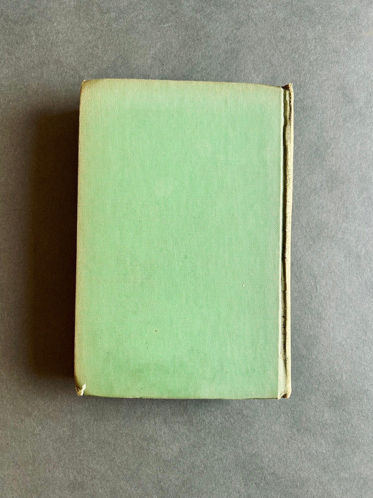 Nobody’s Buddy 1st Edition