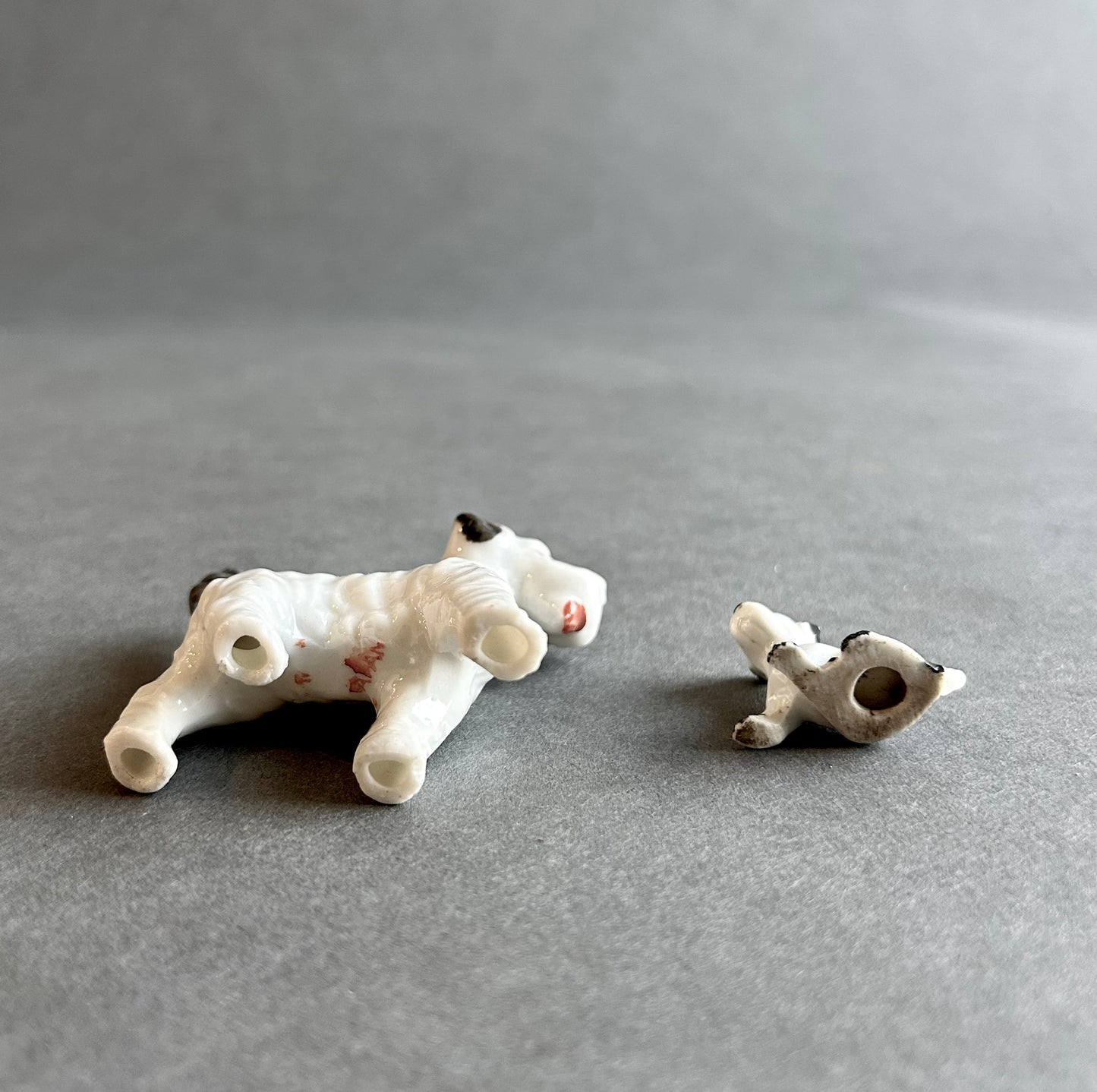 Miniature Dogs