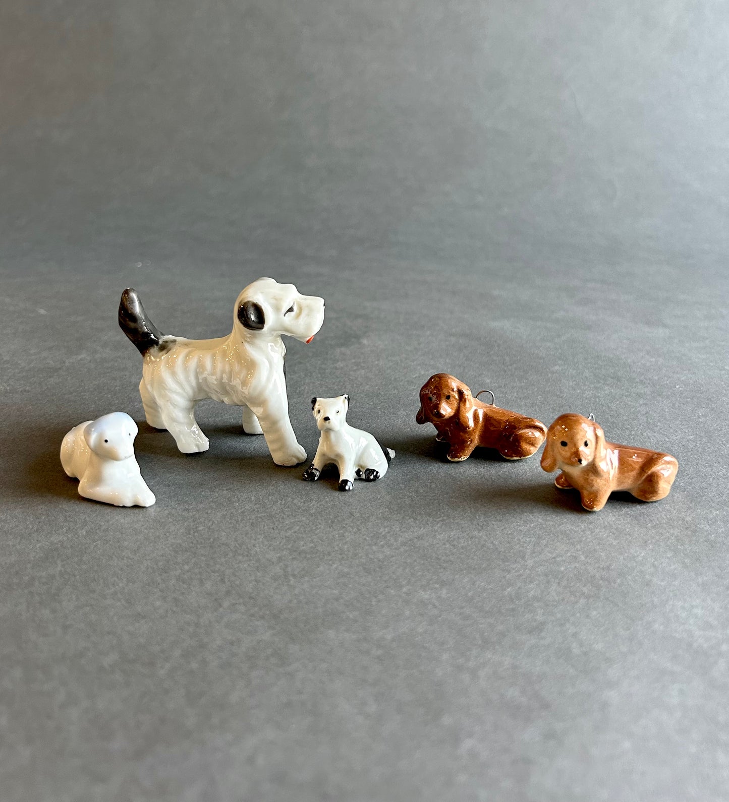 Miniature Dogs