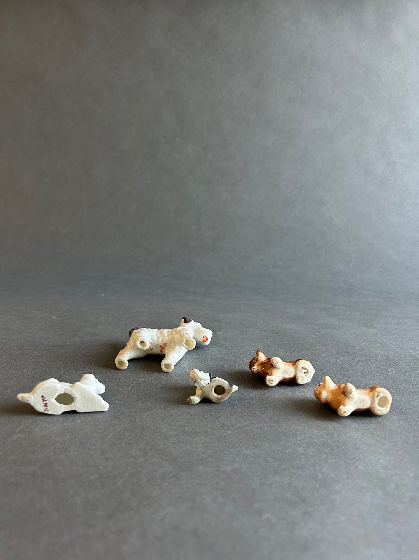 Miniature Dogs