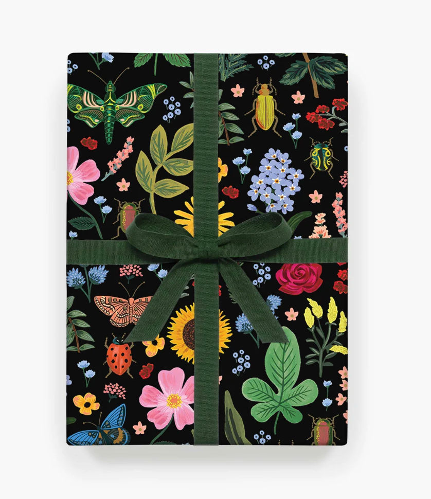 Wrapping Sheet - Curio