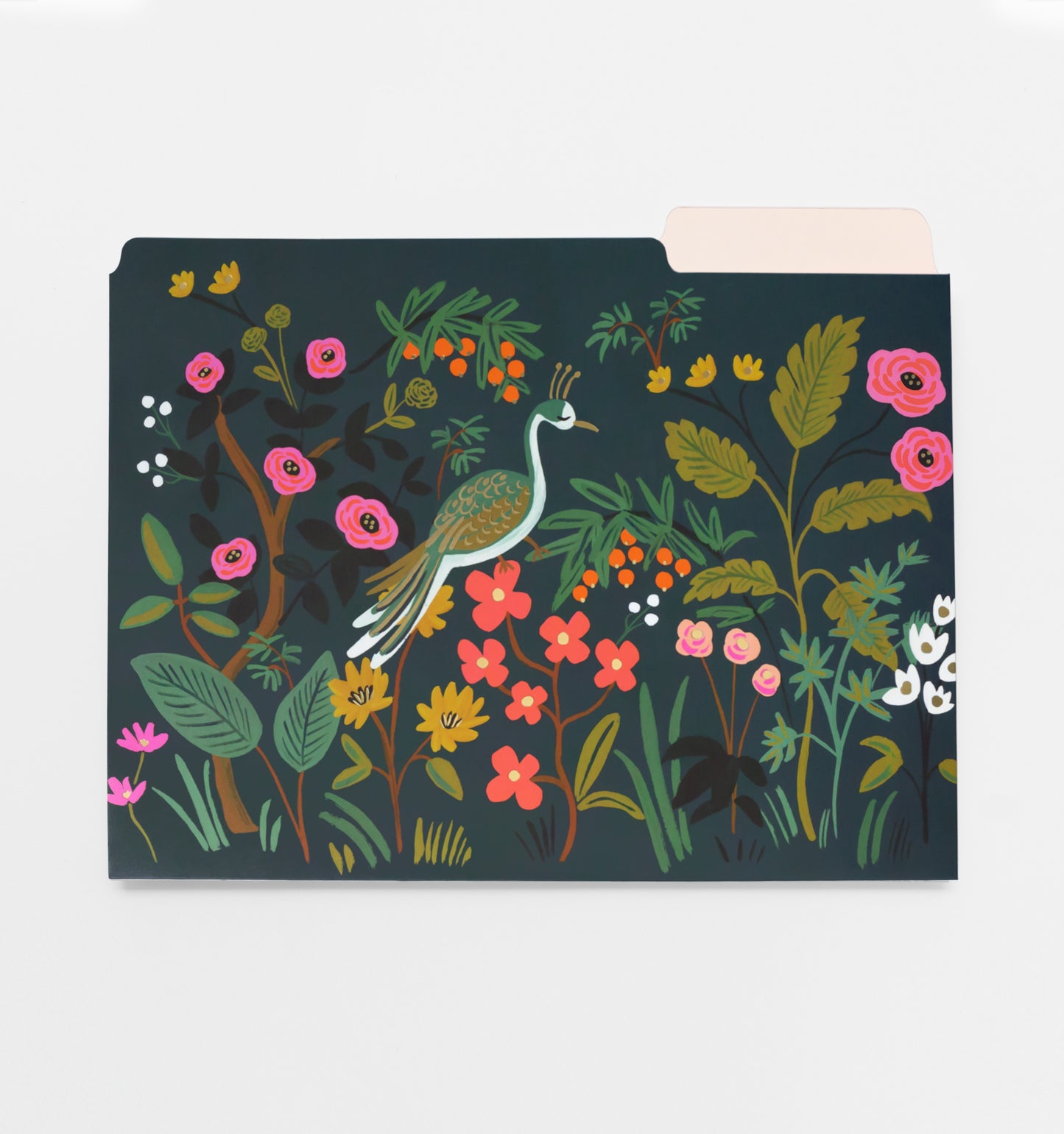 Shanghai Garden Assorted File Folders