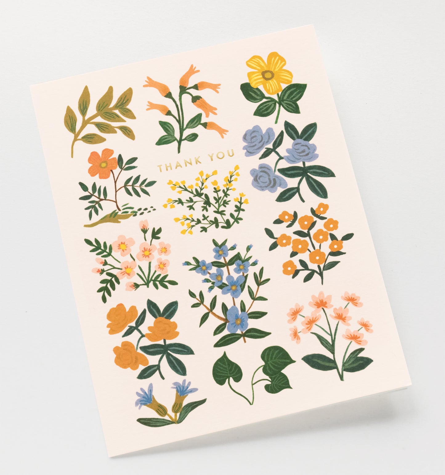 Wild Wood Thank You Card