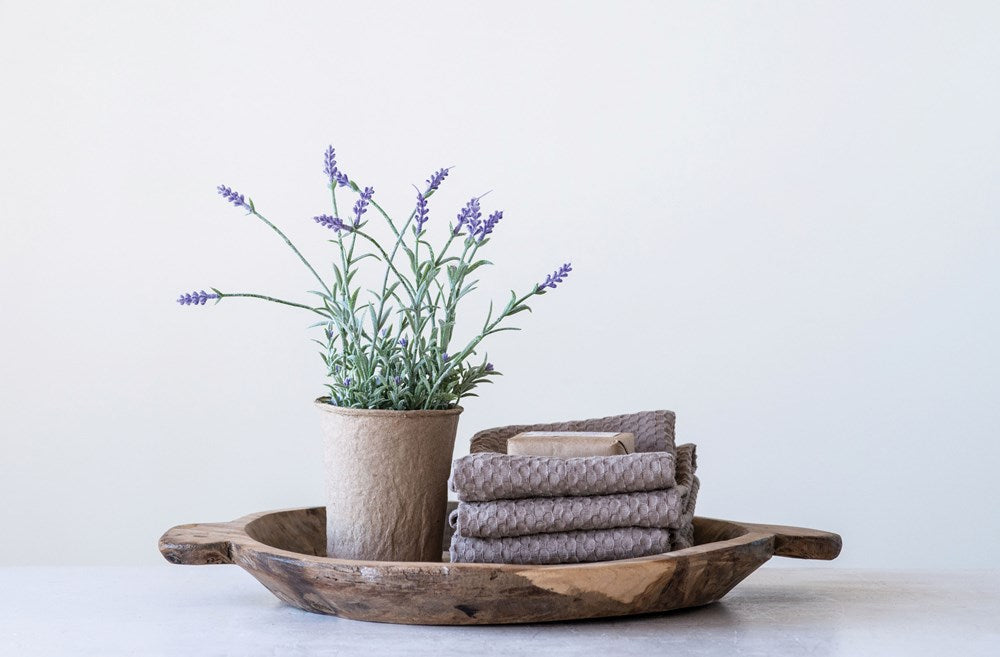 Everlasting Lavender in Paper Pot