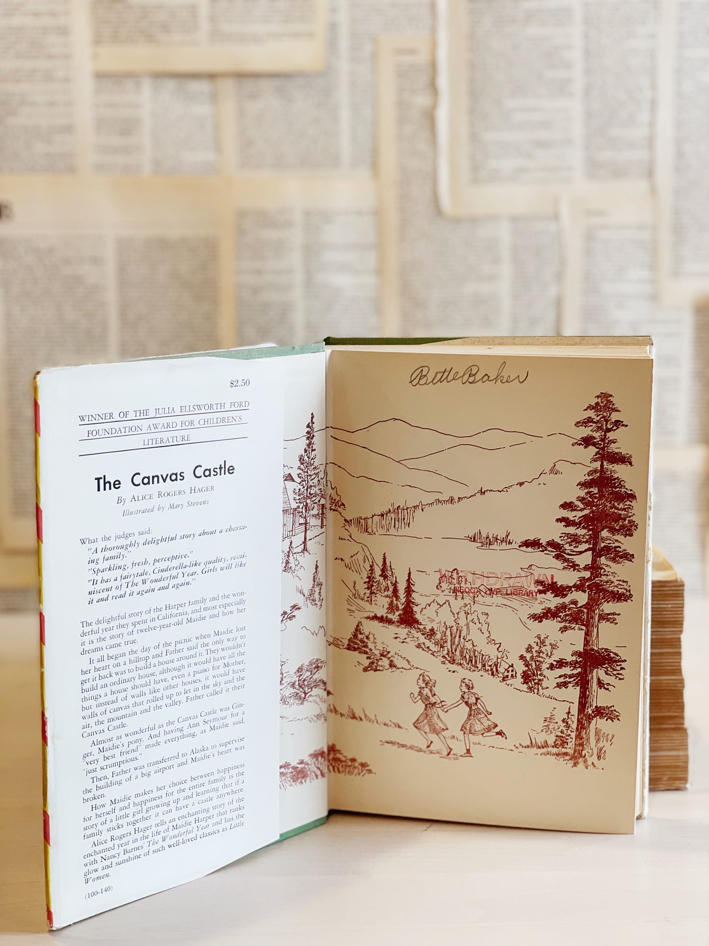 Vintage Book // The Canvas Castle
