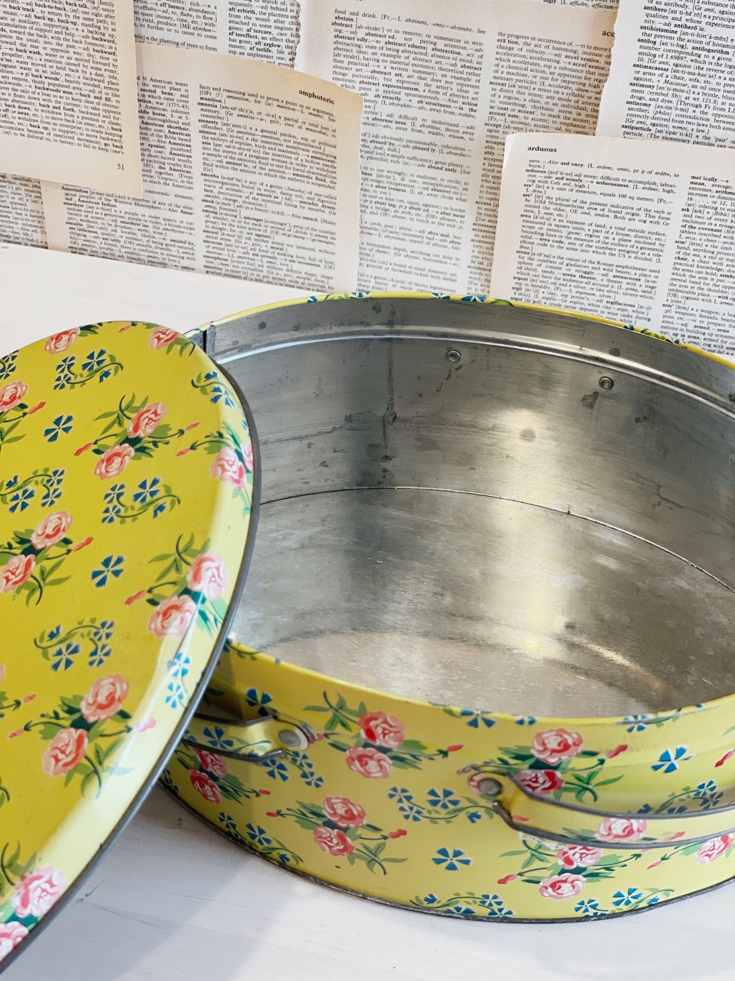 Vintage Tin Lunch Pale / Basket