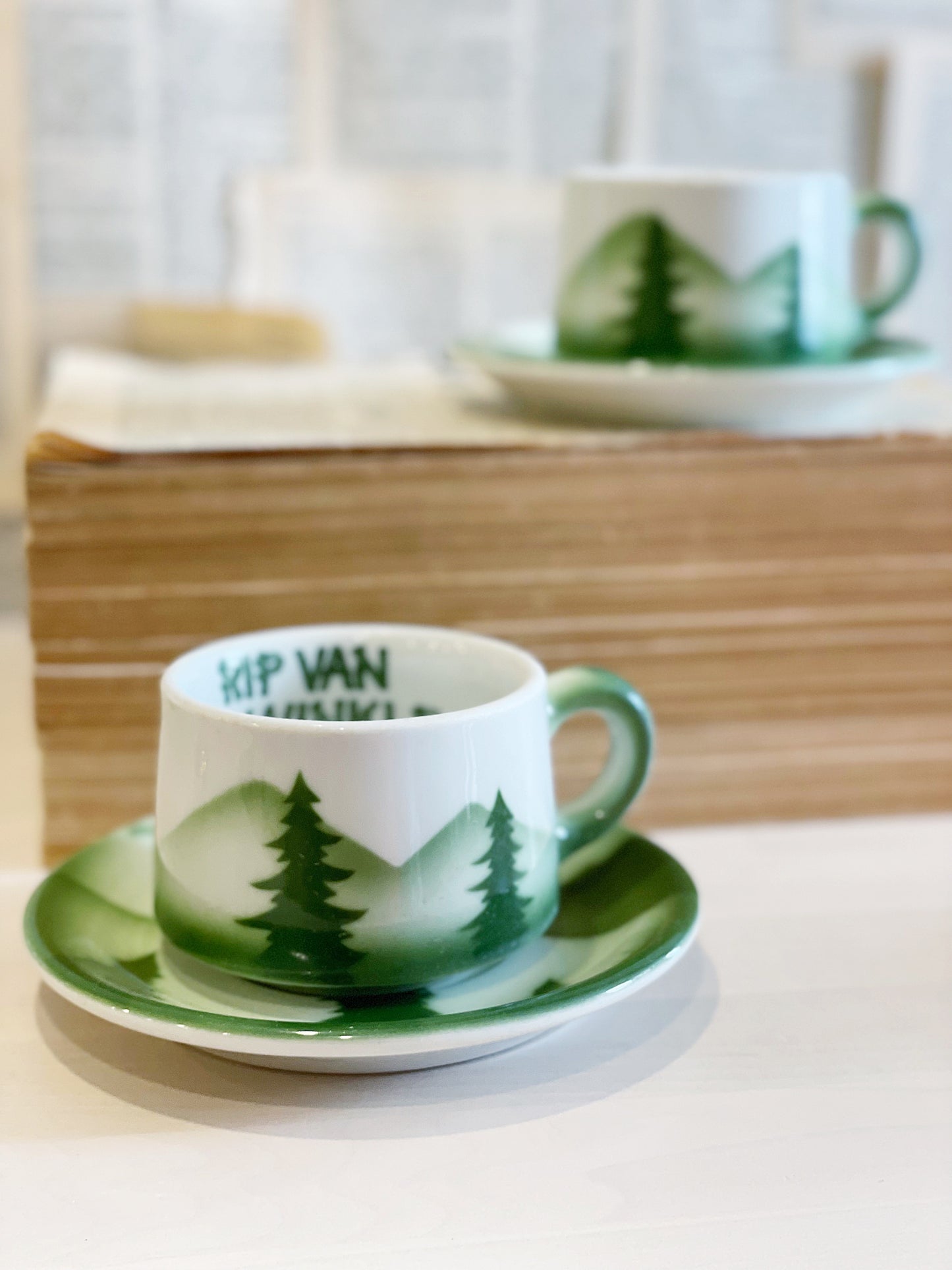 Vintage Rip Van Winkle Cup and Saucer // Seattle // Oregon //