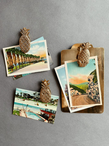 Brass Pineapple Clips and Clipboard