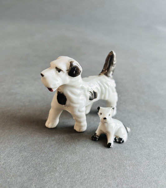 Miniature Dogs