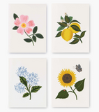 Botanical Blossom Assorted Card Set