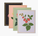 Botanical Blossom Assorted Card Set (Copy)