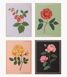 Botanical Blossom Assorted Card Set (Copy)