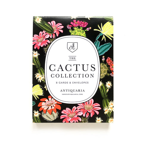 Cactus Collection (Box Set of 8)