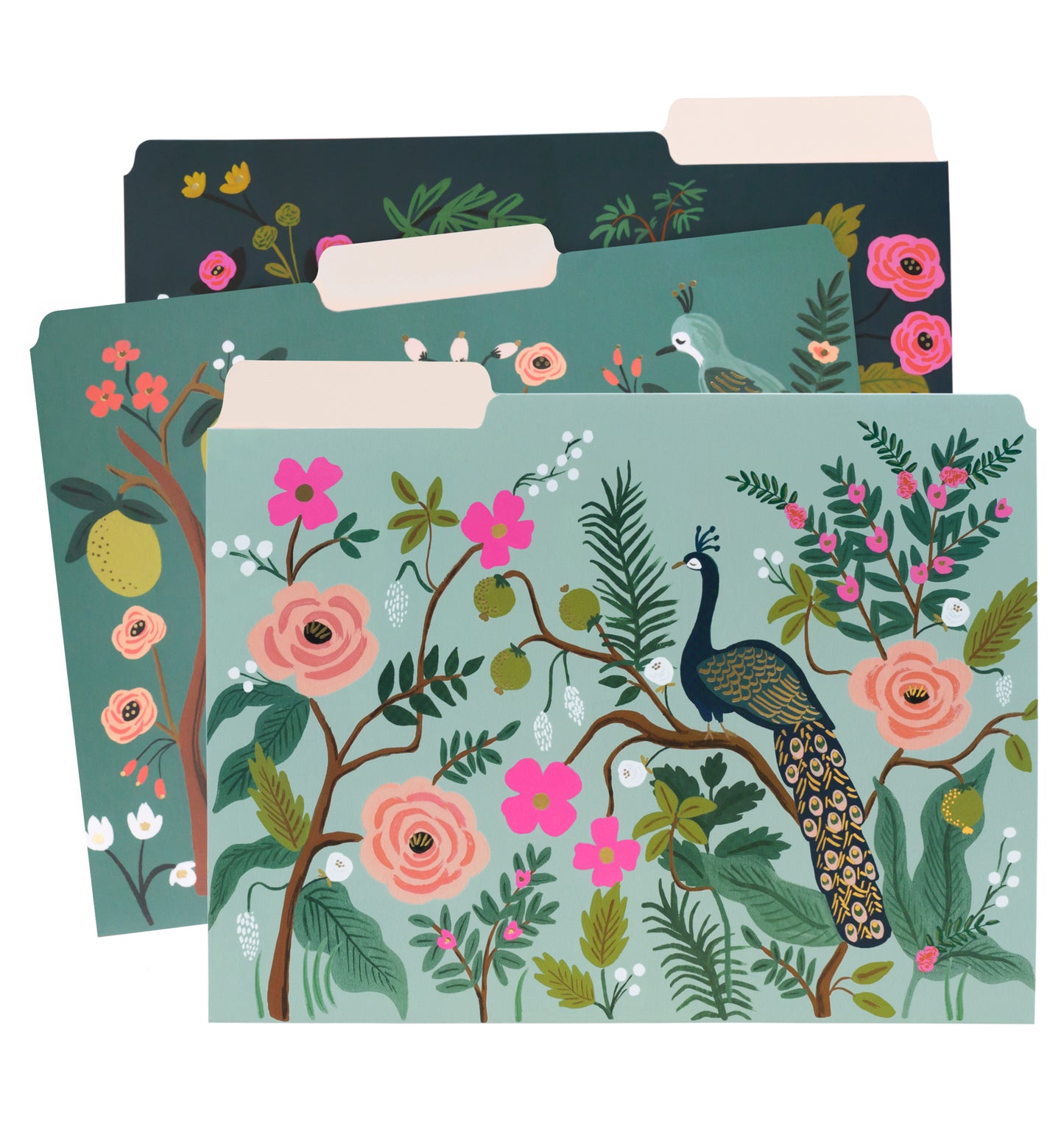 Shanghai Garden Assorted File Folders
