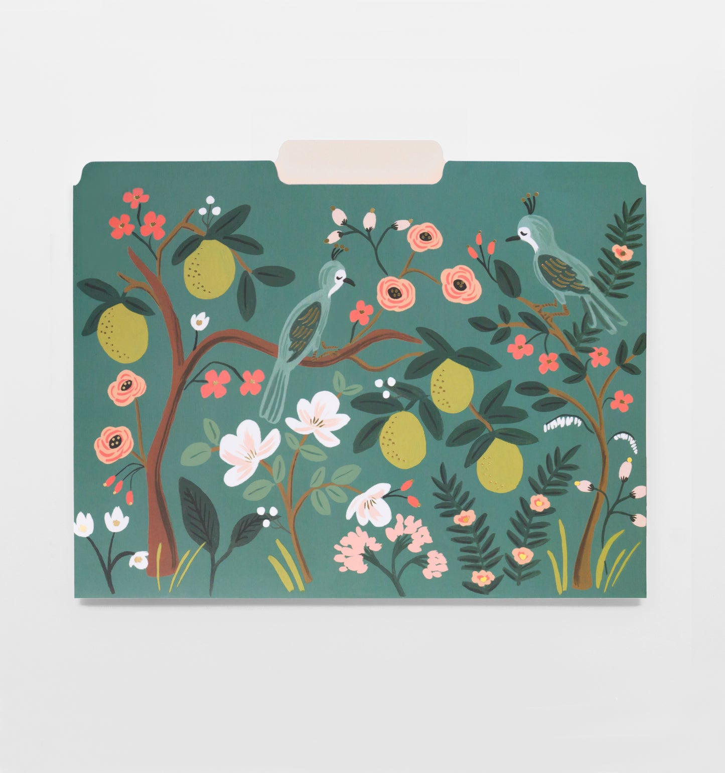 Shanghai Garden Assorted File Folders