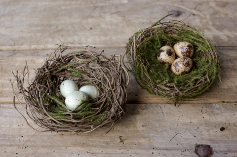 Ornamental Birds Nest Clip