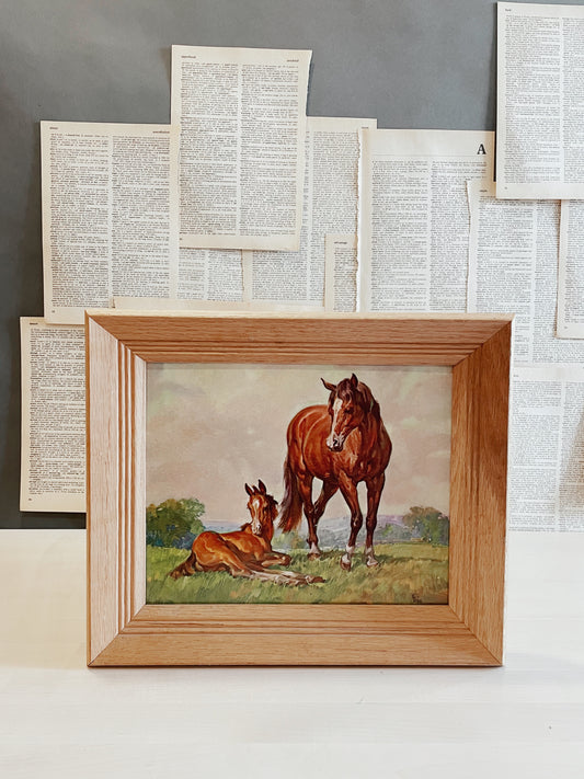 Vintage Horse Print // 1966