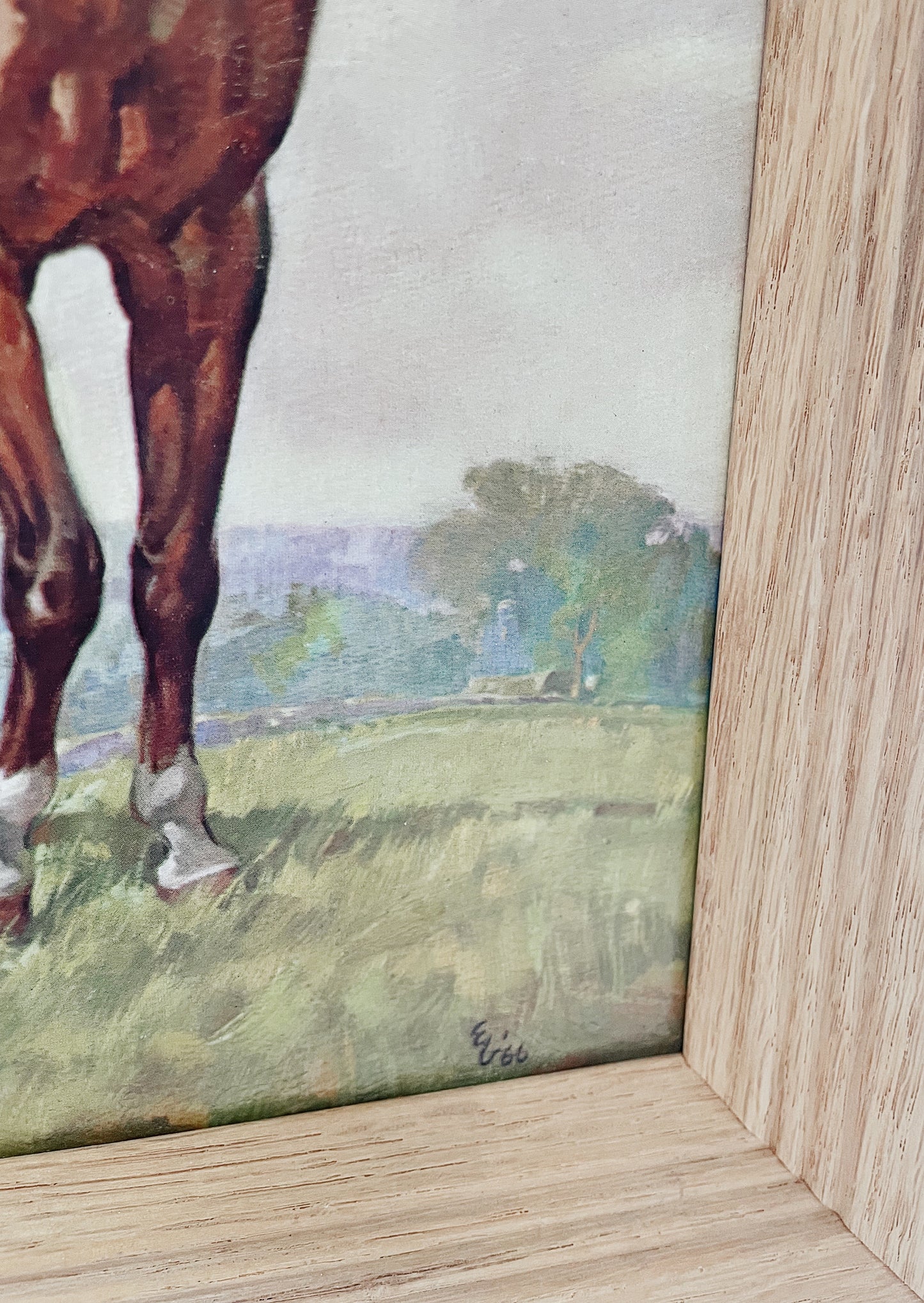Vintage Horse Print // 1966