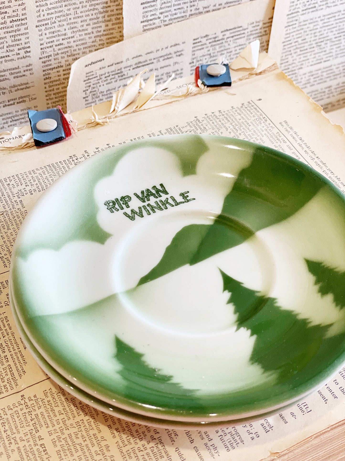 Vintage Rip Van Winkle Cup and Saucer // Seattle // Oregon //